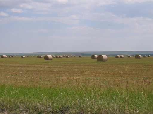 original Hay Bales